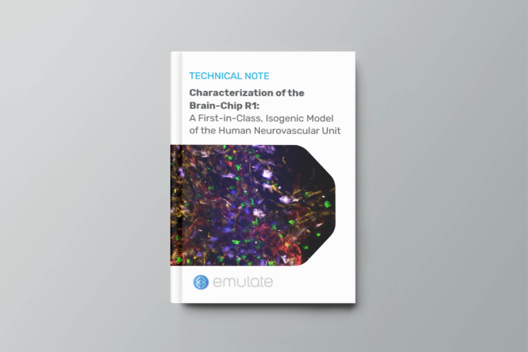 Characterization of the Brain-Chip R1: A First-in-Class, Isogenic Model of the Human Neurovascular Unit