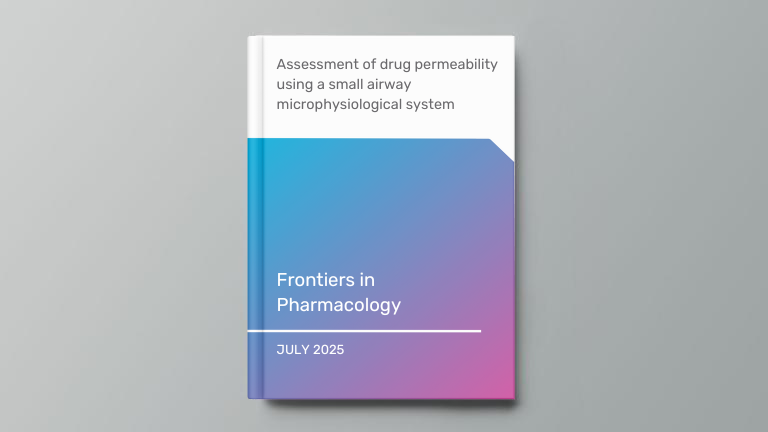 Assessment of drug permeability using a small airway microphysiological system