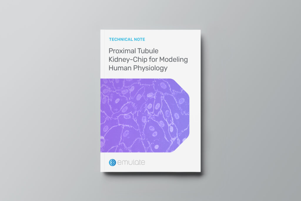 Proximal Tubule Kidney-Chip for Modeling Human Physiology