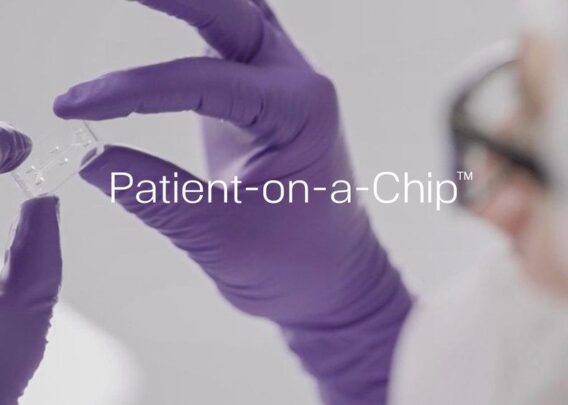 Image for Advancing Precision Medicine with Patient-on-a-Chip