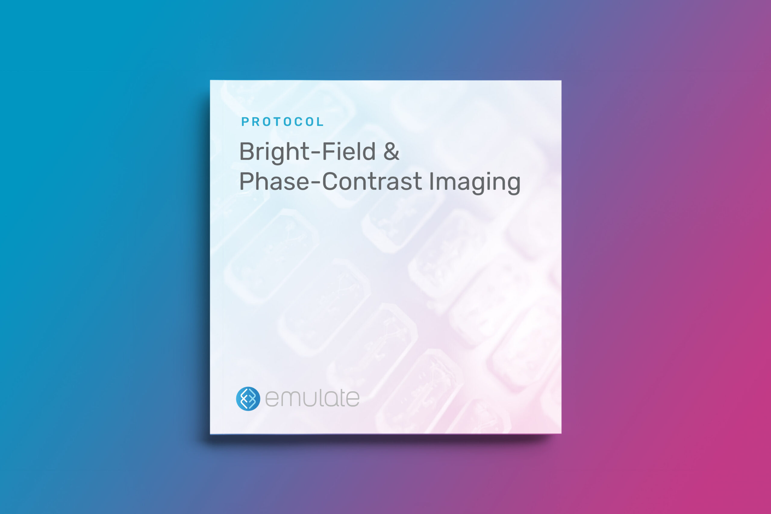 Bright-Field & Phase-Contrast Imaging