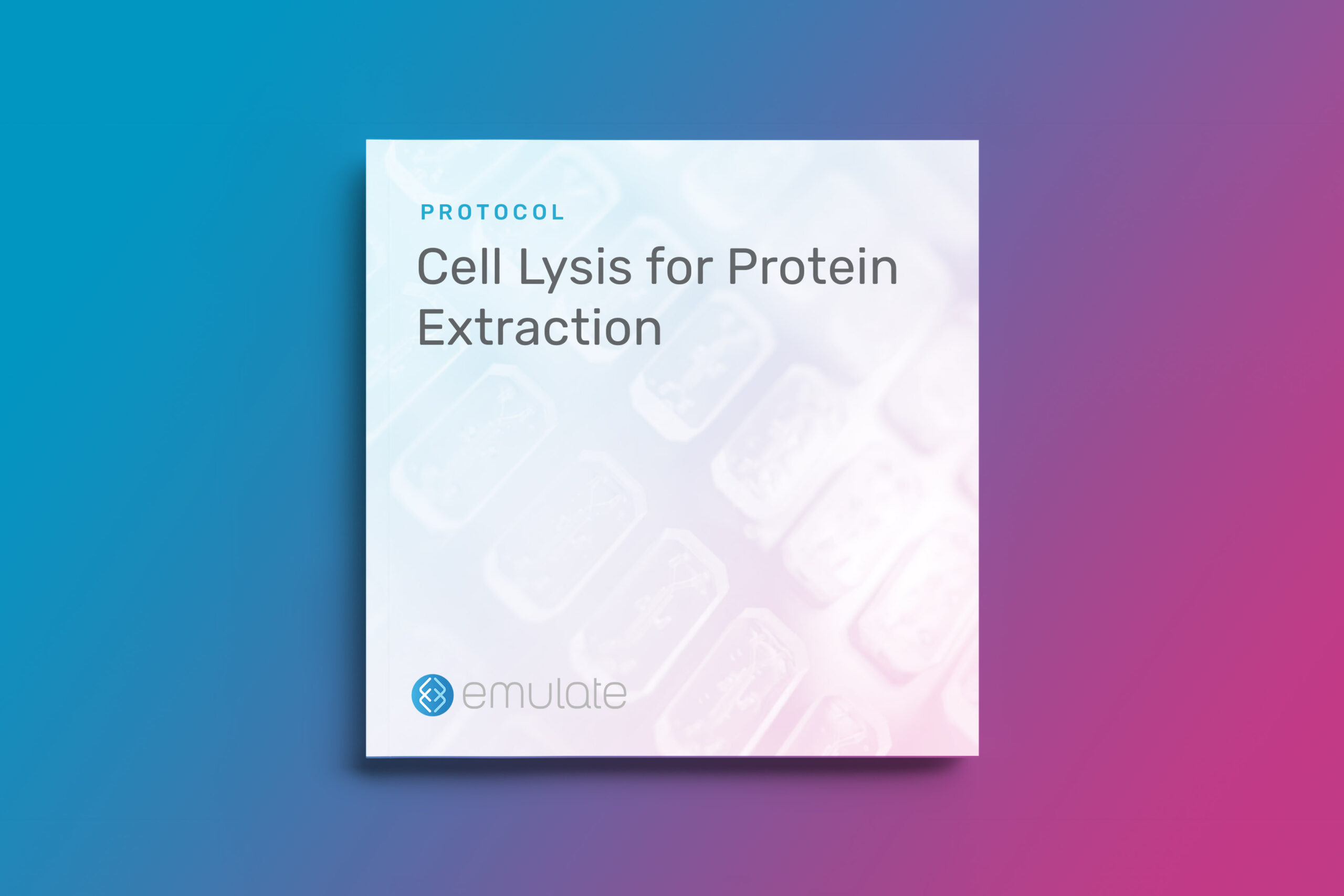 Cell Lysis for Protein Extraction Emulate