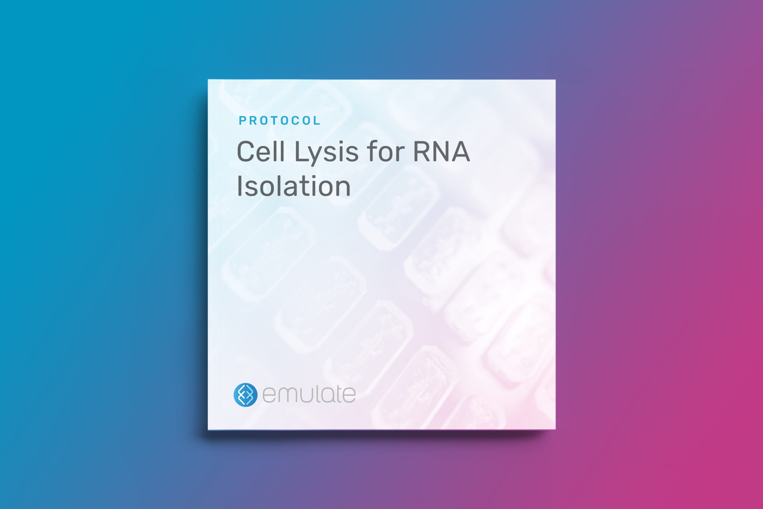 Cell Lysis for RNA Isolation