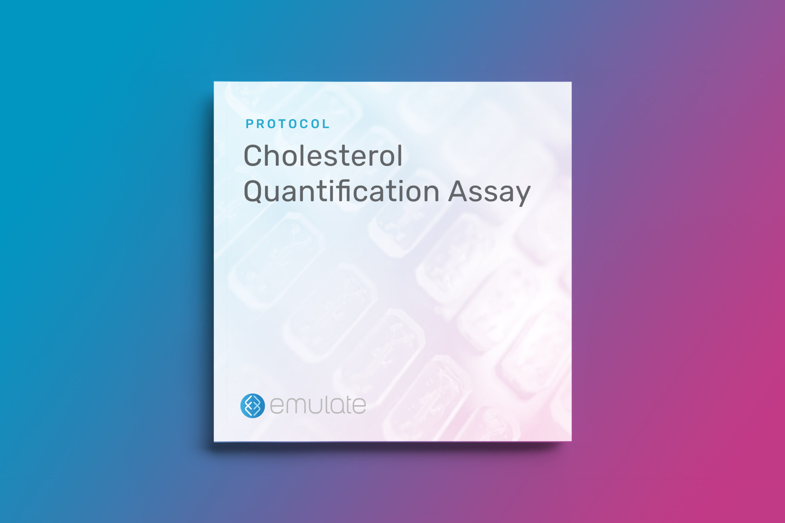 Cholesterol Quantification Assay