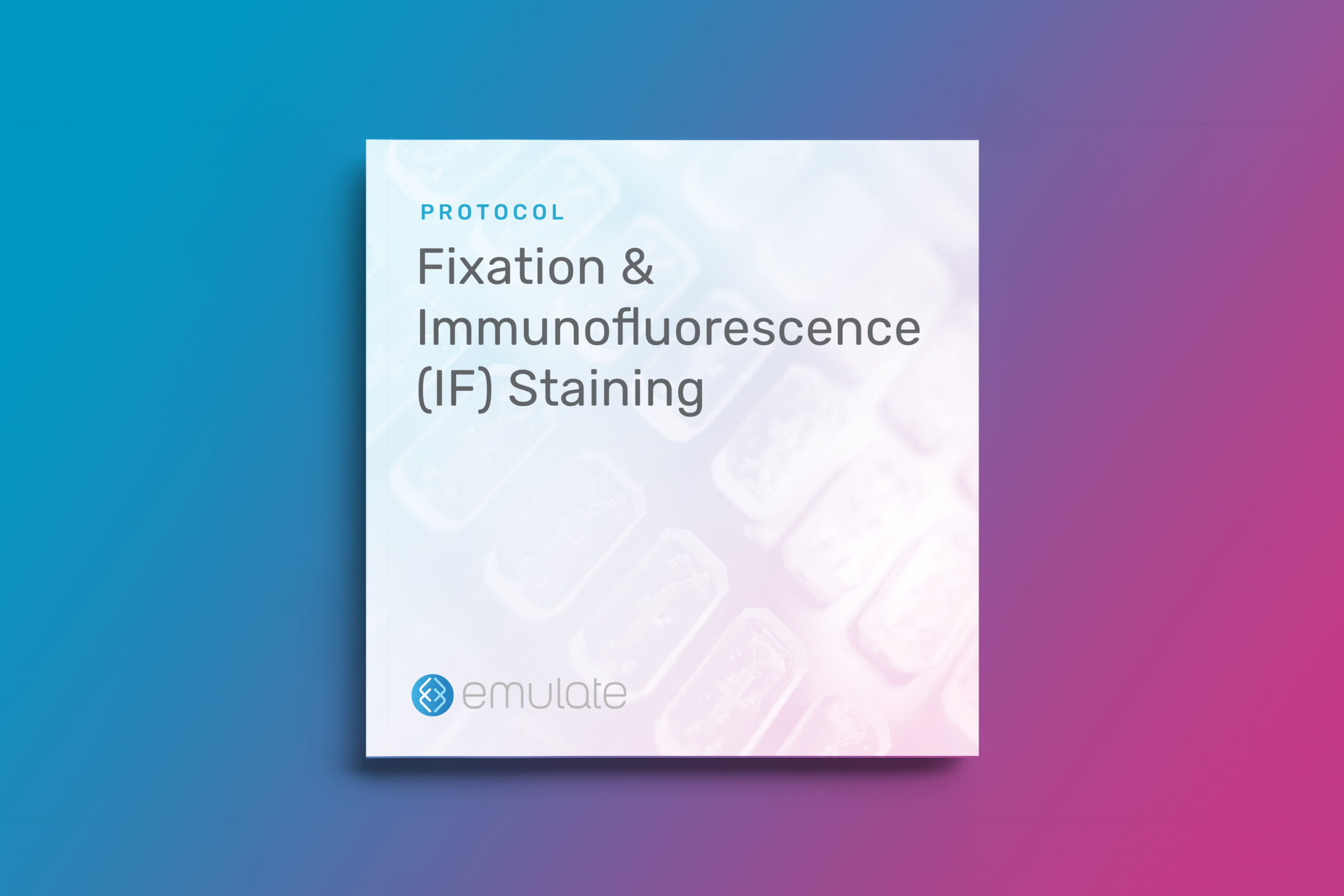 Fixation and Immunofluorescence (IF) Staining Emulate