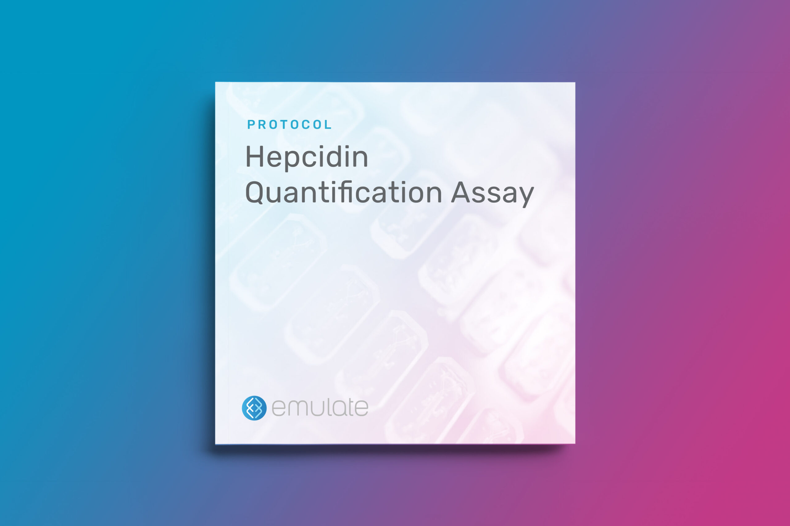 Hepcidin Quantification Assay