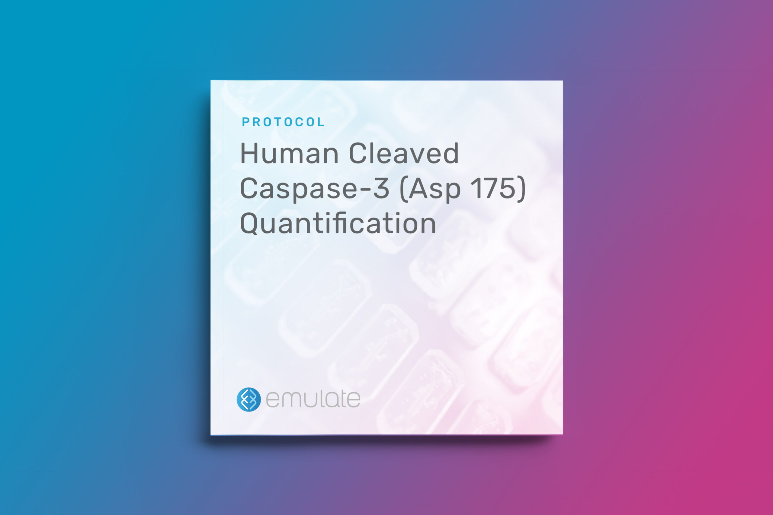 Human Cleaved Caspase-3 (Asp 175) Quantification