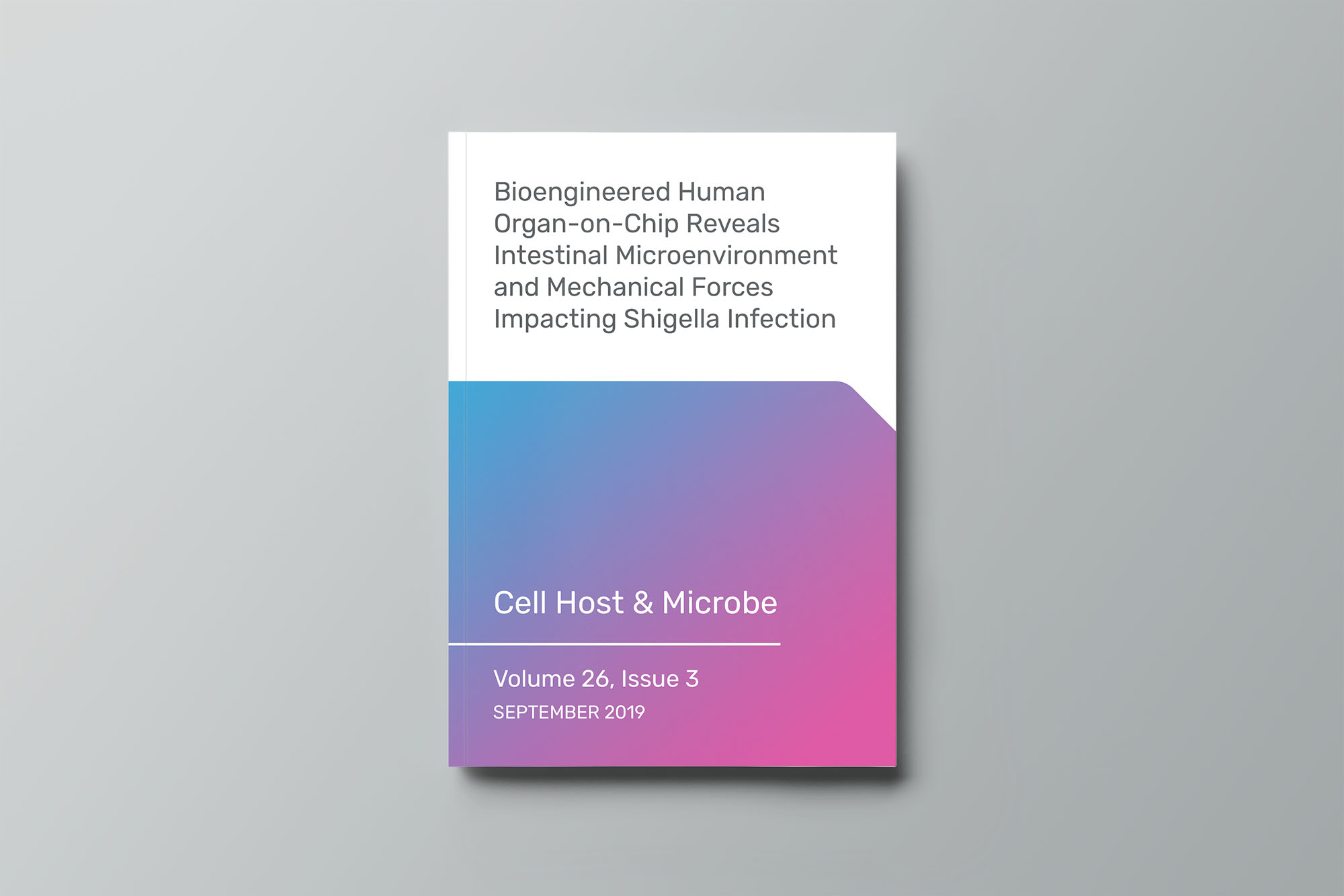 Bioengineered Human Organ-on-Chip Reveals Intestinal Microenvironment and Mechanical Forces Impacting Shigella Infection