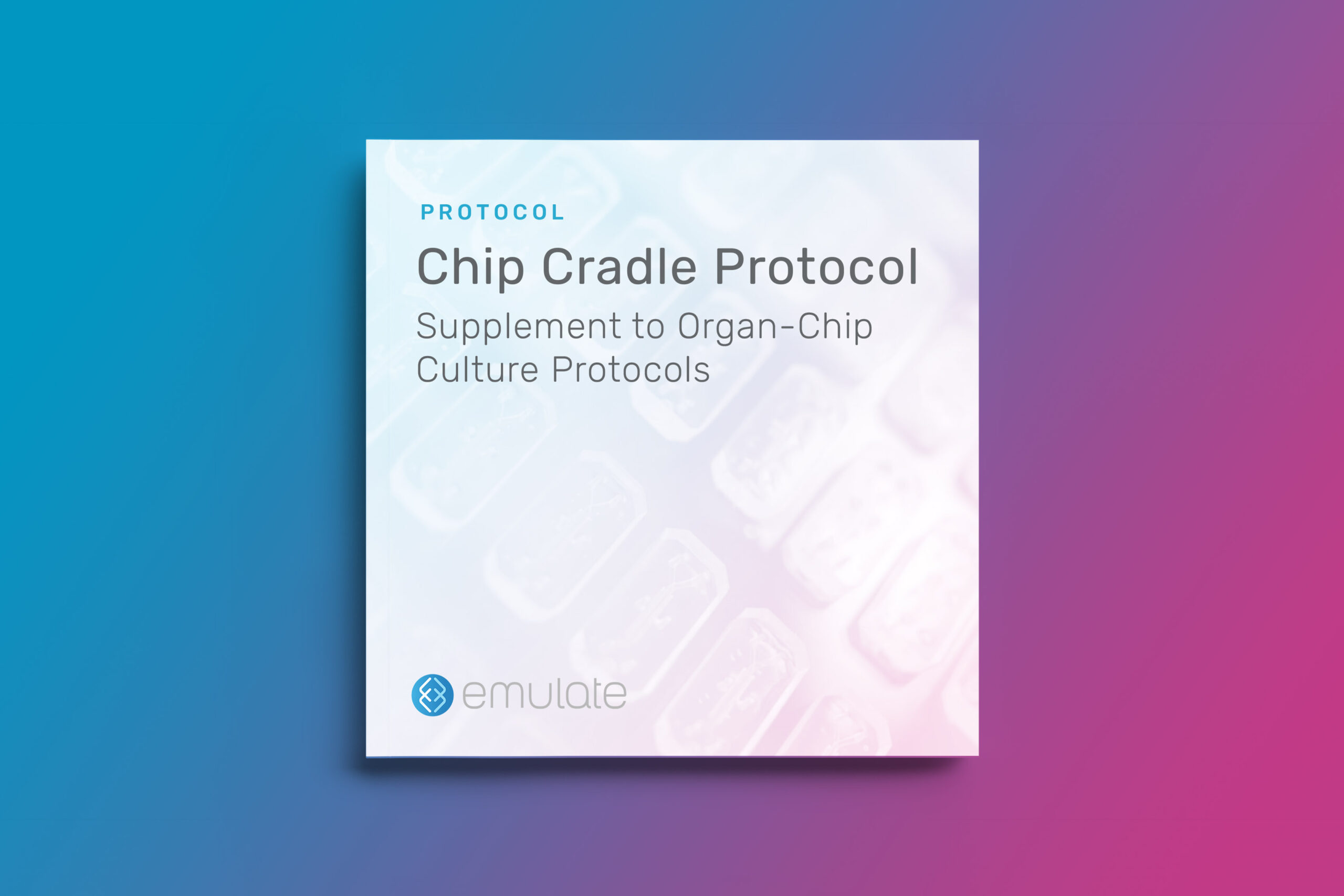 Chip Cradle Protocol (Supplement to Organ-Chip Culture Protocols)