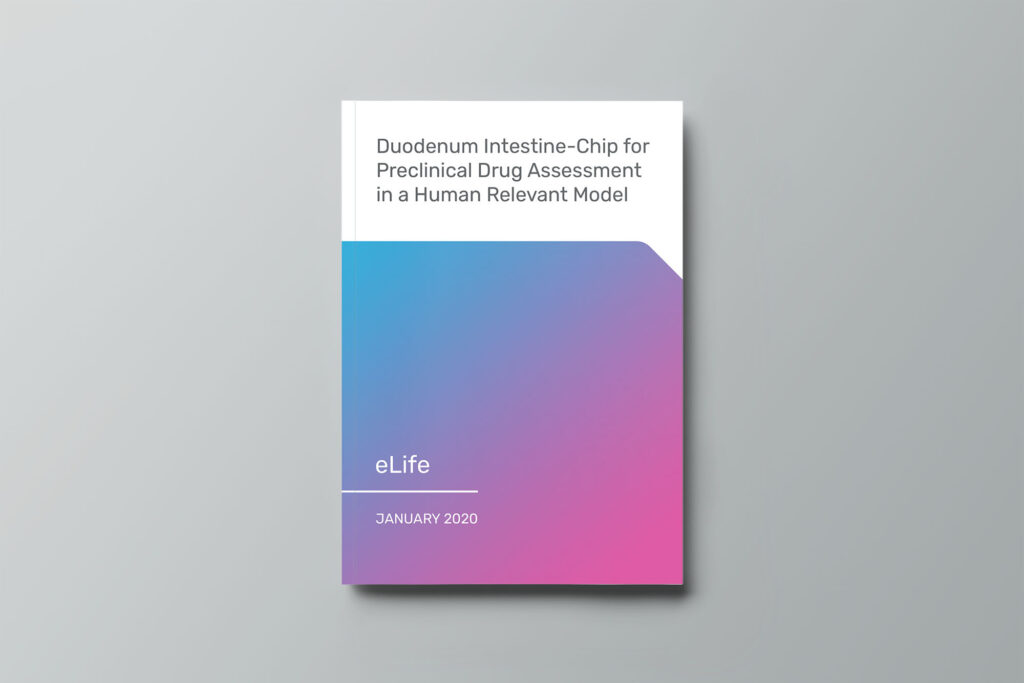 Duodenum Intestine-Chip for Preclinical Drug Assessment in a Human Relevant Model