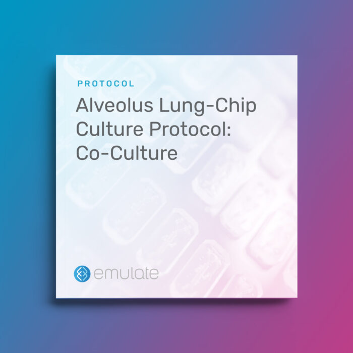 Image for Alveolus Lung-Chip Culture Protocol: Co-Culture