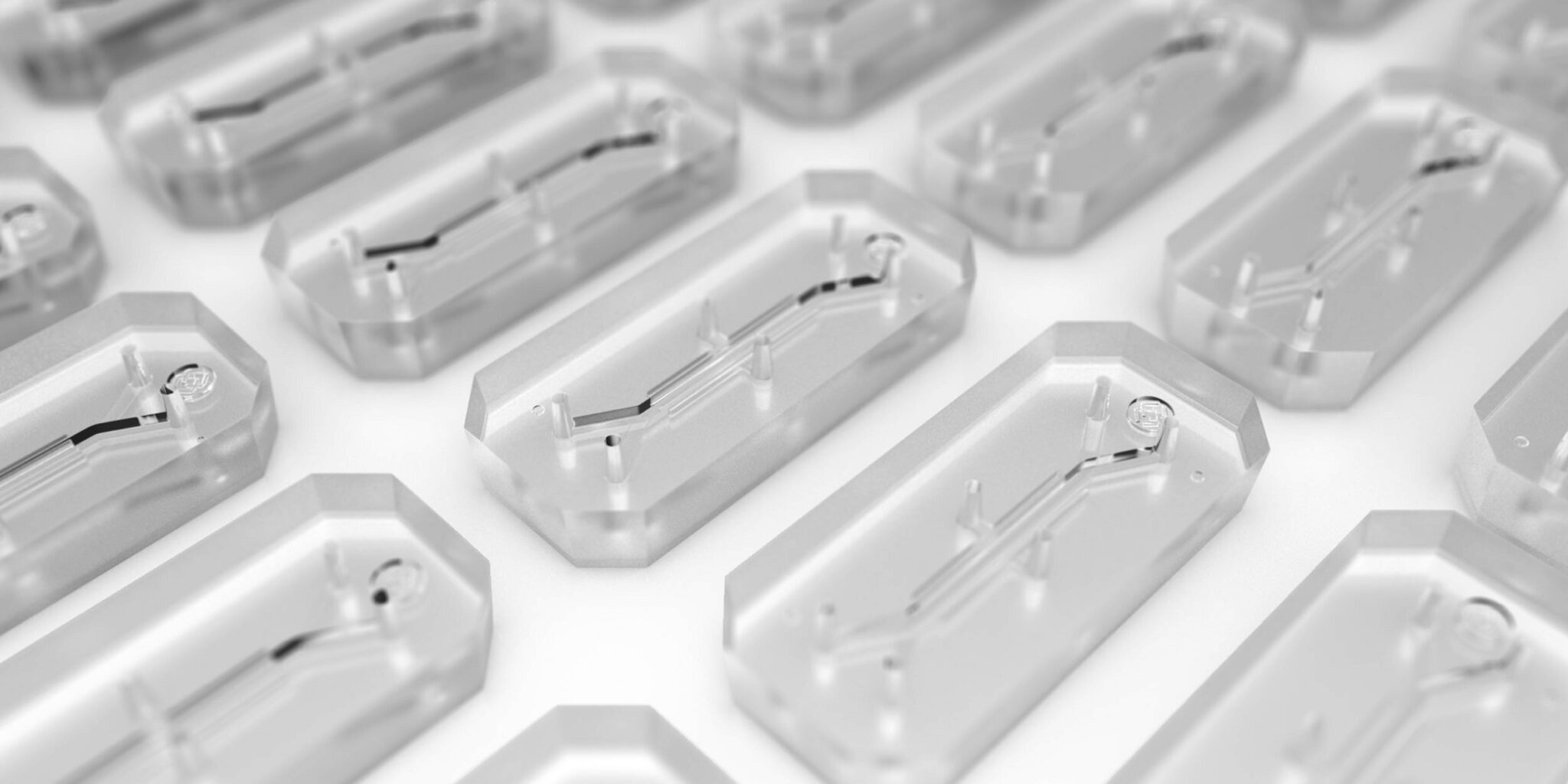 Future of Preclinical Animal Models in Drug Discovery Emulate