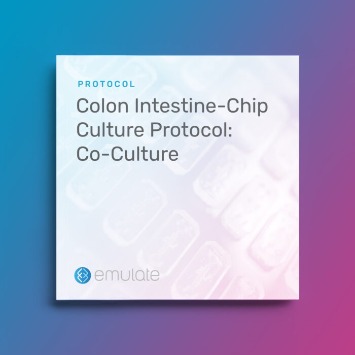 Image for Colon Intestine-Chip Culture Protocol: Co-Culture