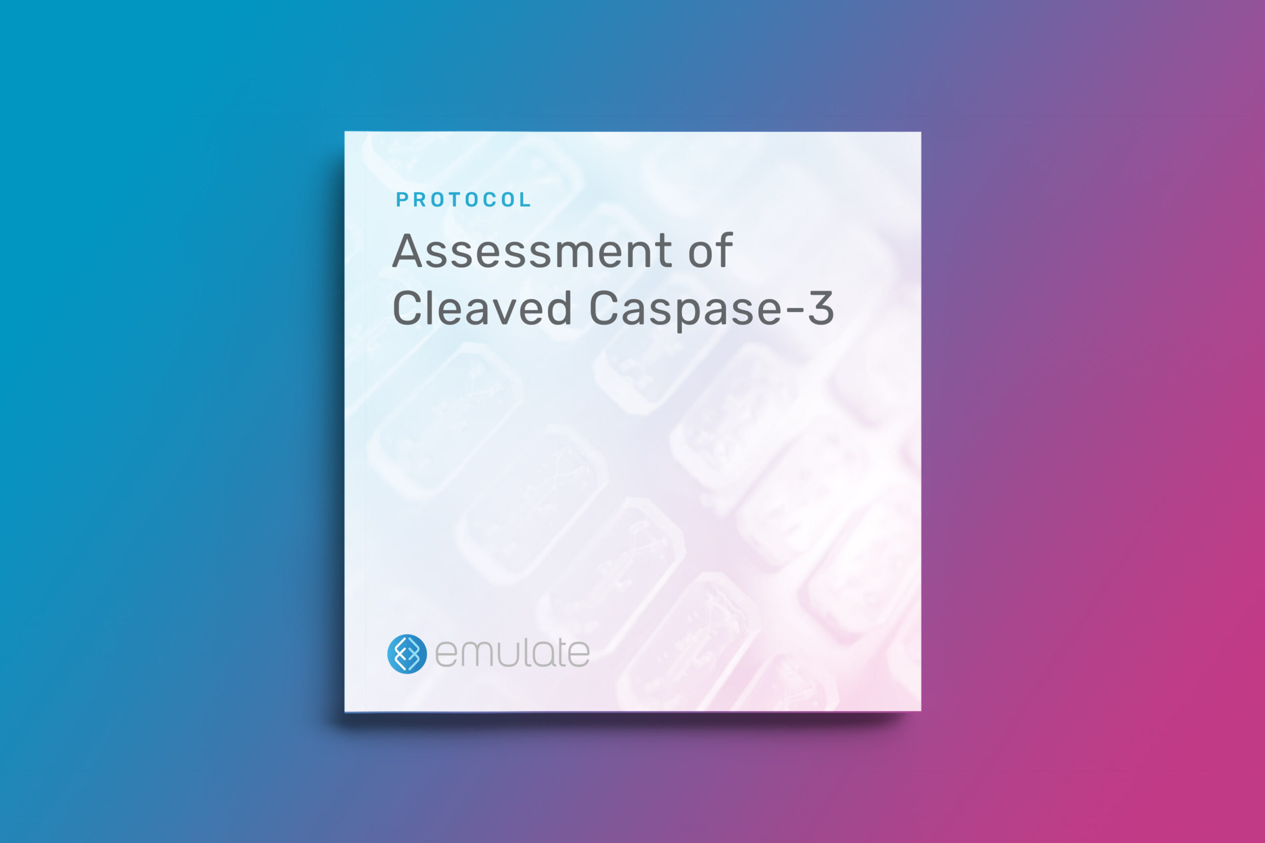Assessment of Cleaved Caspase-3