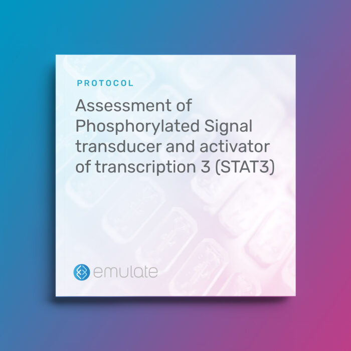 Image for Assessment of Phosphorylated Signal transducer and activator of transcription 3 (STAT3)