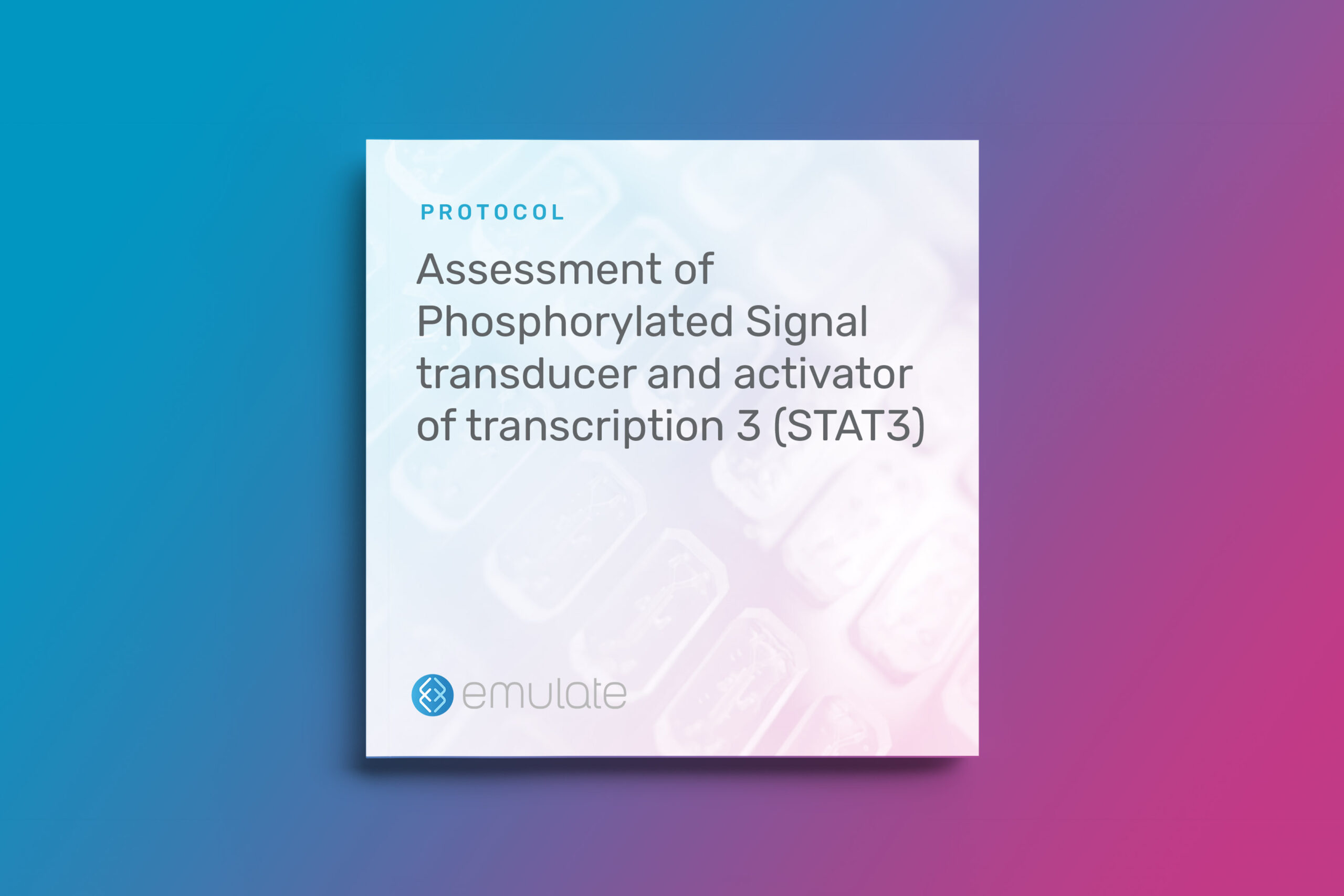 Assessment of Phosphorylated Signal transducer and activator of transcription 3 (STAT3)