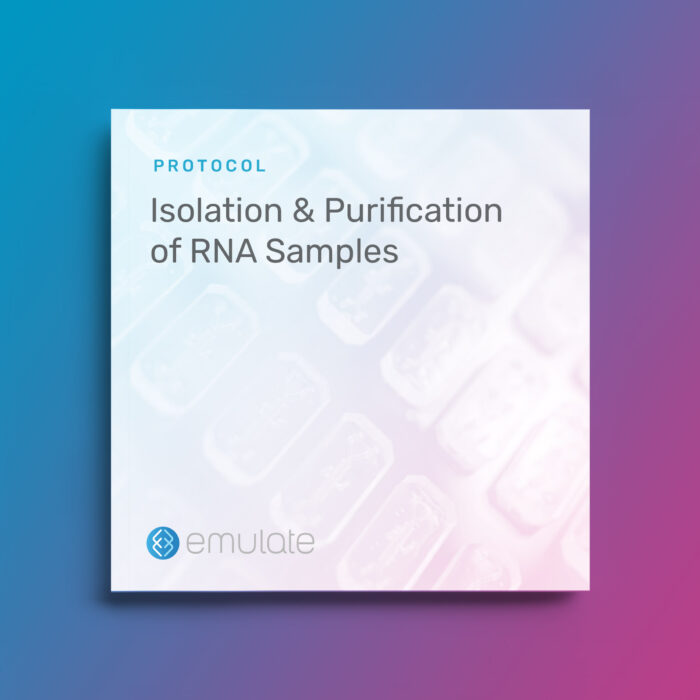 Image for Isolation and Purification of RNA Samples