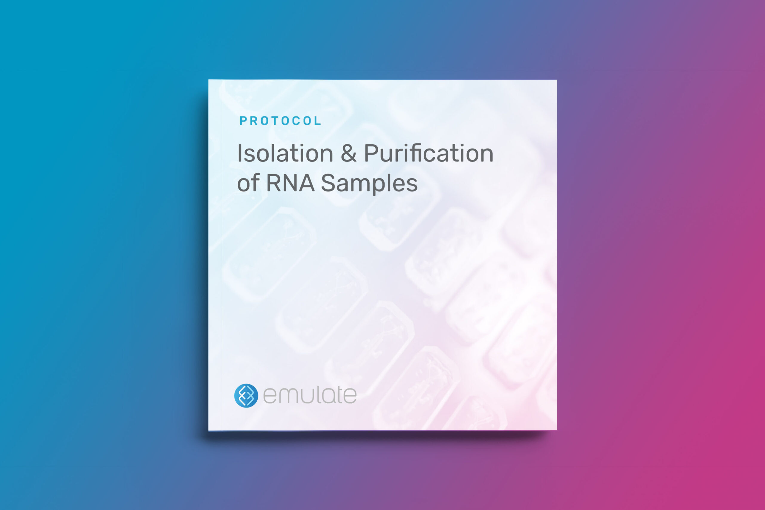 Isolation and Purification of RNA Samples