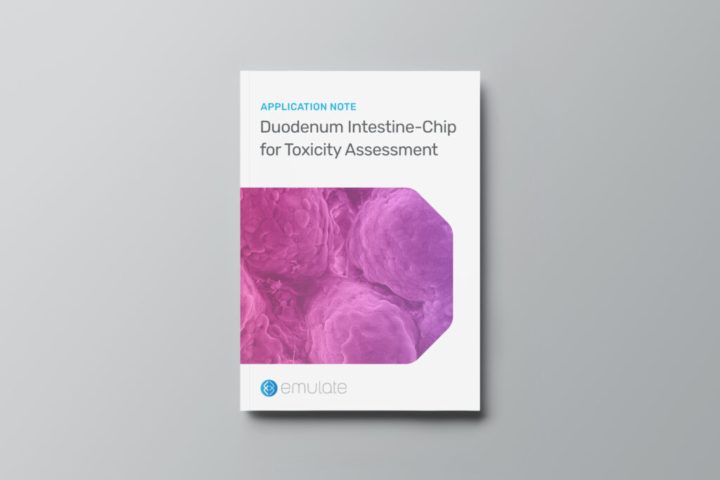 Duodenum Intestine-Chip for Toxicity Assessment