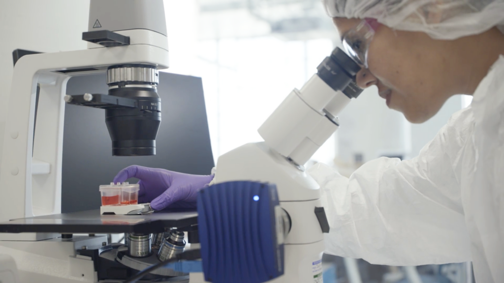 Scientist observing an Organ-Chip in its Pod through a cell culture microscope.