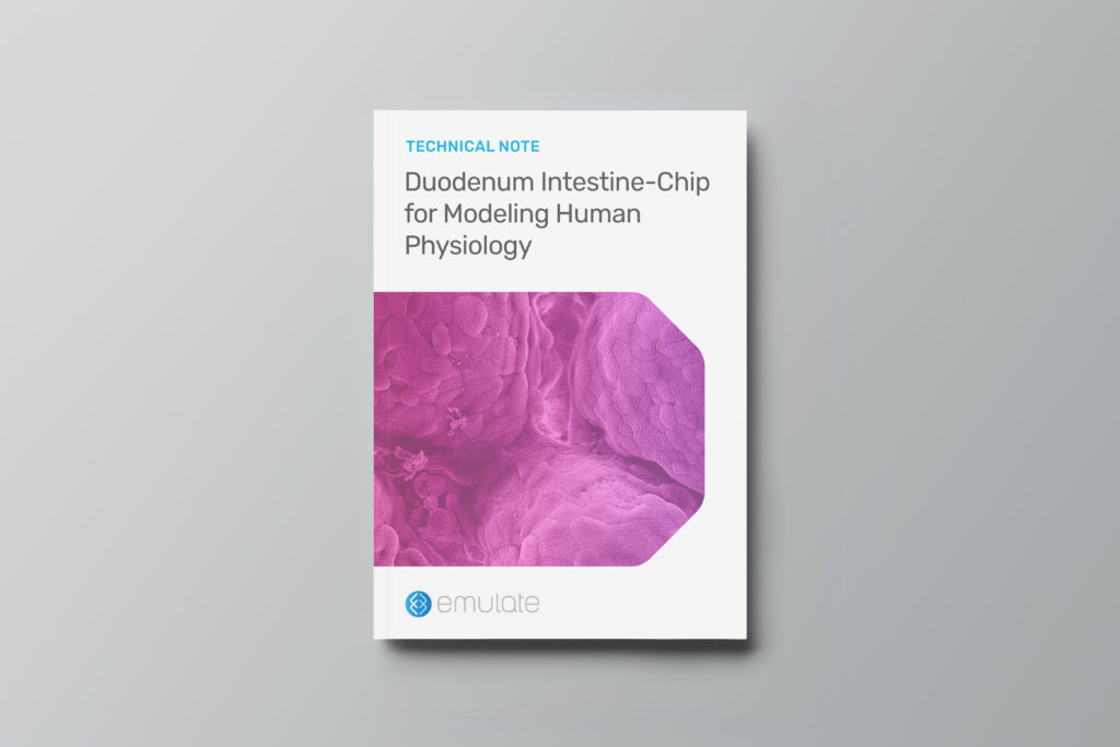 Duodenum Intestine-Chip for Modeling Human Physiology