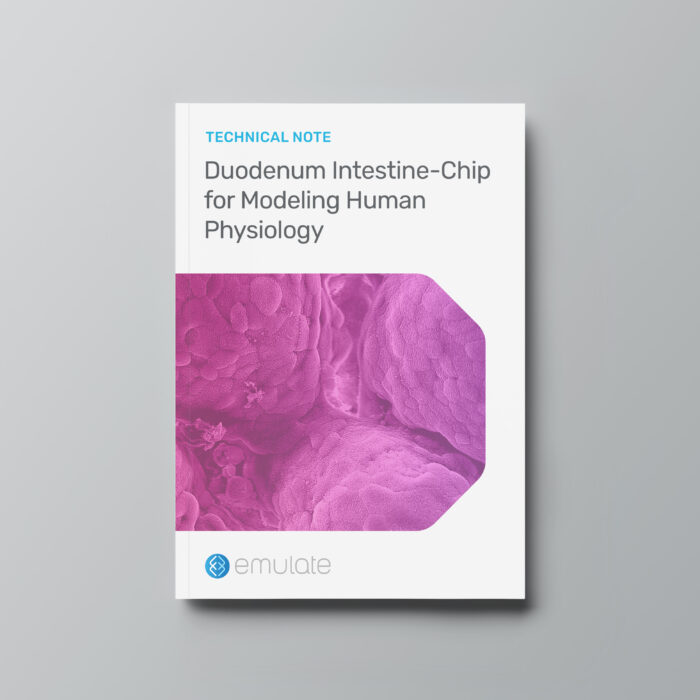 Image for Duodenum Intestine-Chip for Modeling Human Physiology