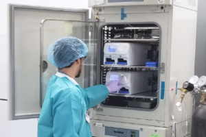 Scientist adjusting the settings of Zoë Culture Module within a cell culture incubator.