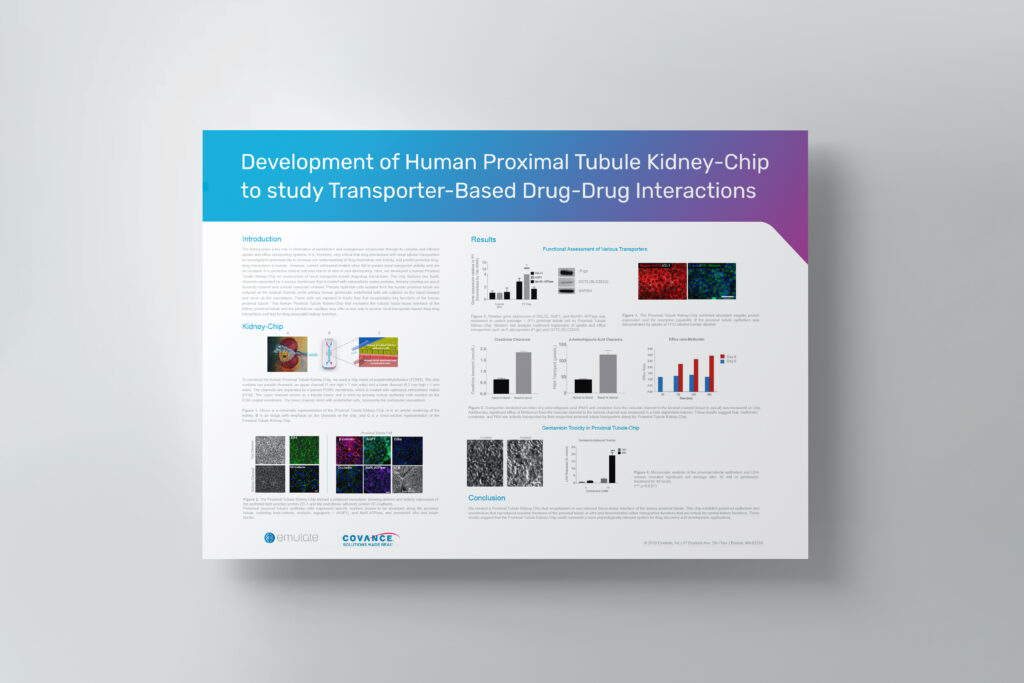 A poster titled "Development of Human Proximal Tubule Kidney-Chip to Study Transporter-Based Drug-Drug Interactions".