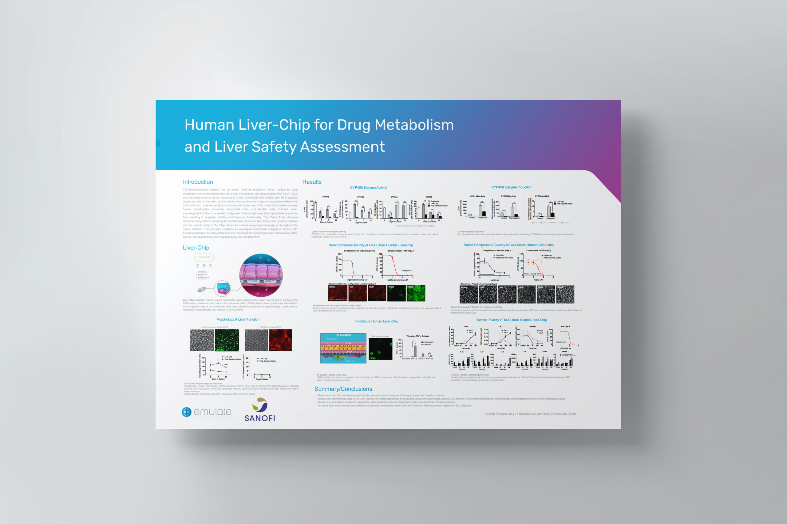 Human Liver-Chip for Drug Metabolism and Liver Safety Assessment