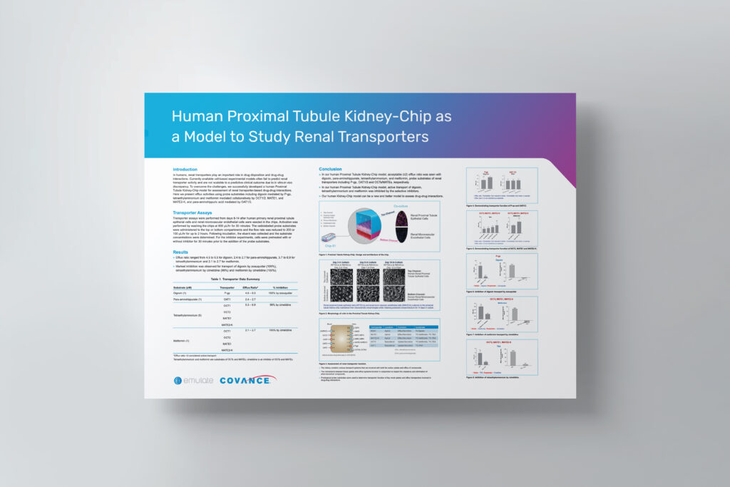 Poster titled "Human Proximal Tubule Kidney-Chip as a Model to Study Renal Transporters".