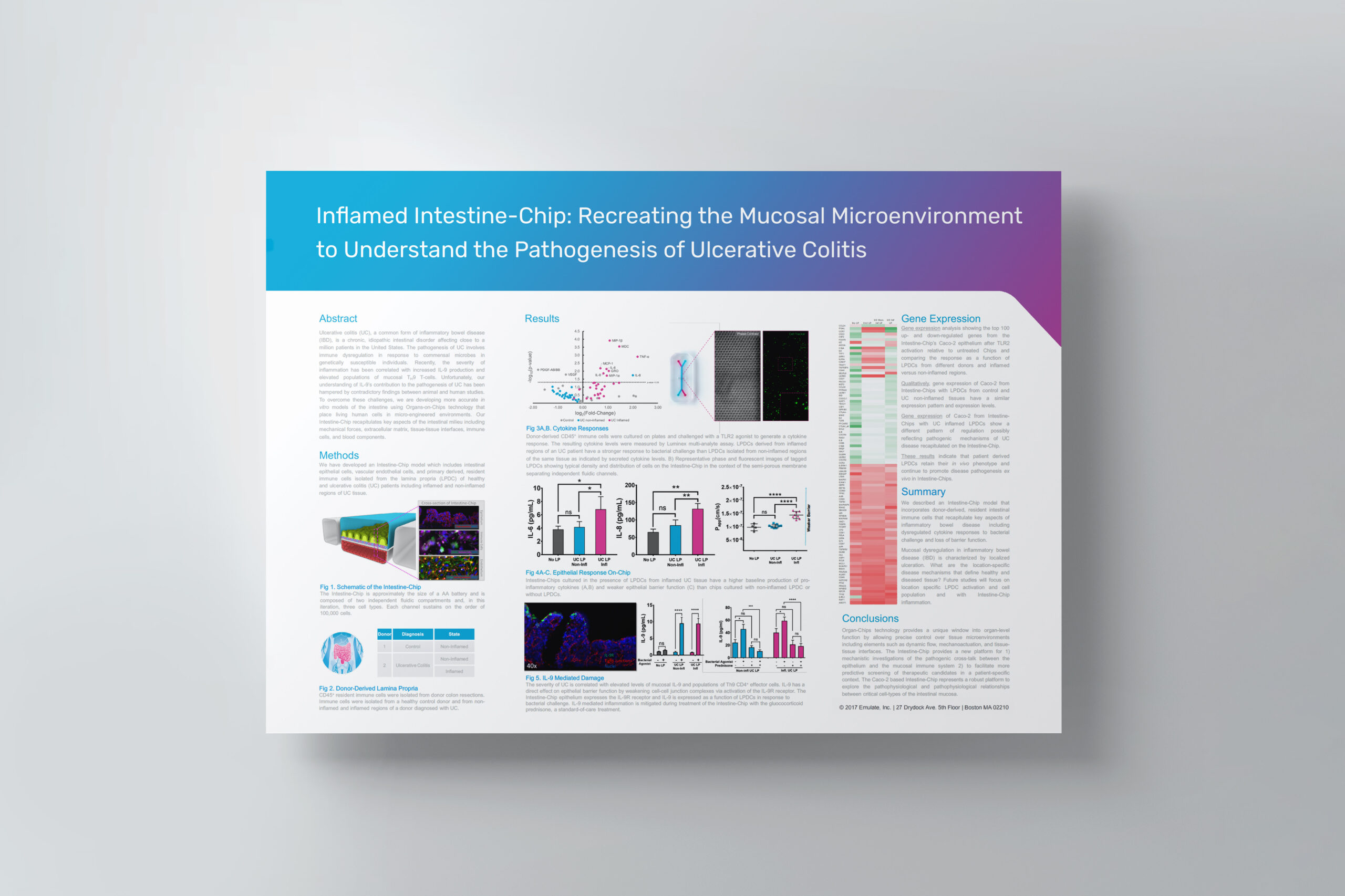 Inflamed Intestine-Chip: Recreating the Mucosal Microenvironment to Understand the Pathogenesis of Ulcerative Colitis