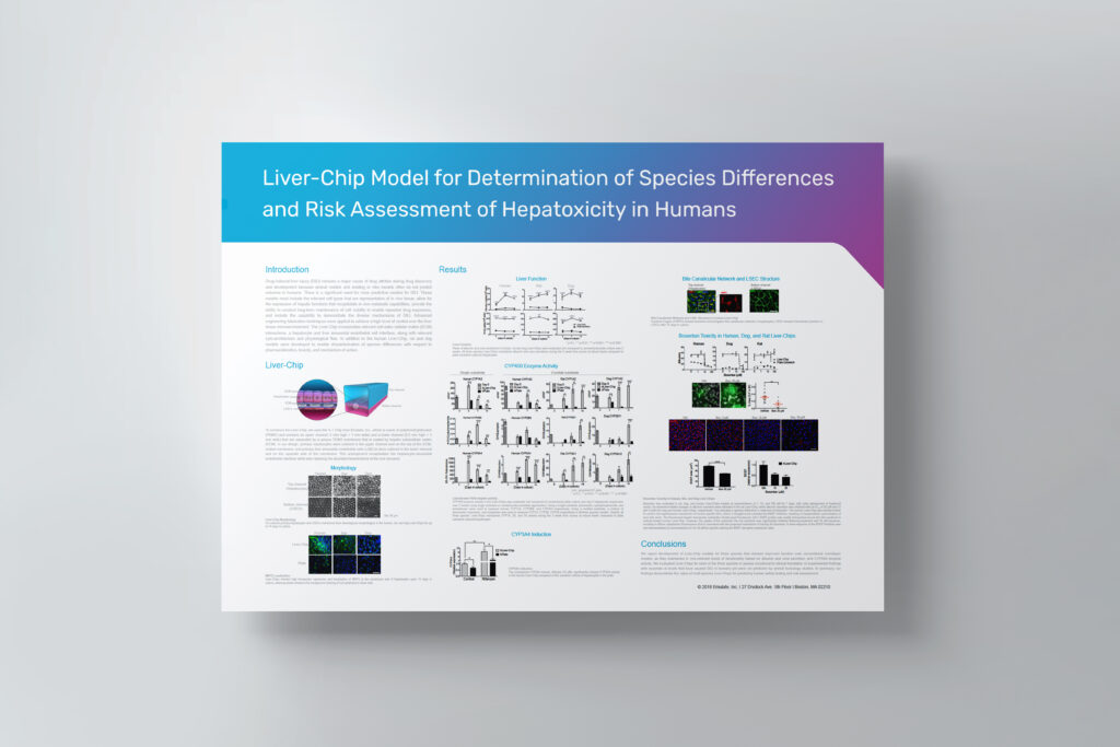 A poster titled "Liver-Chip Model for Determination of Species Differences and Risk Assessment of Hepatotoxicity in Humans".