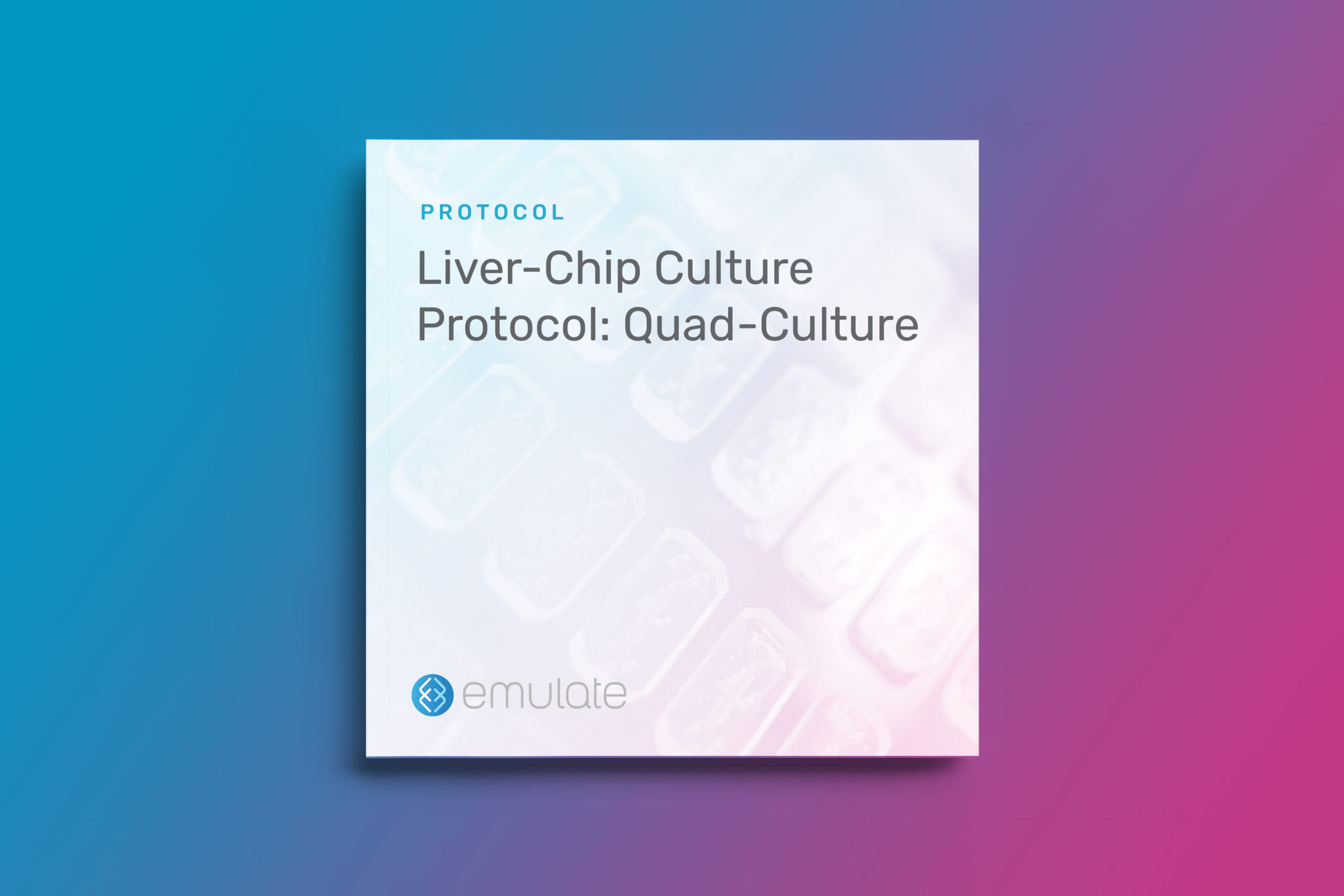 Liver-Chip Culture Protocol // Quad-Culture