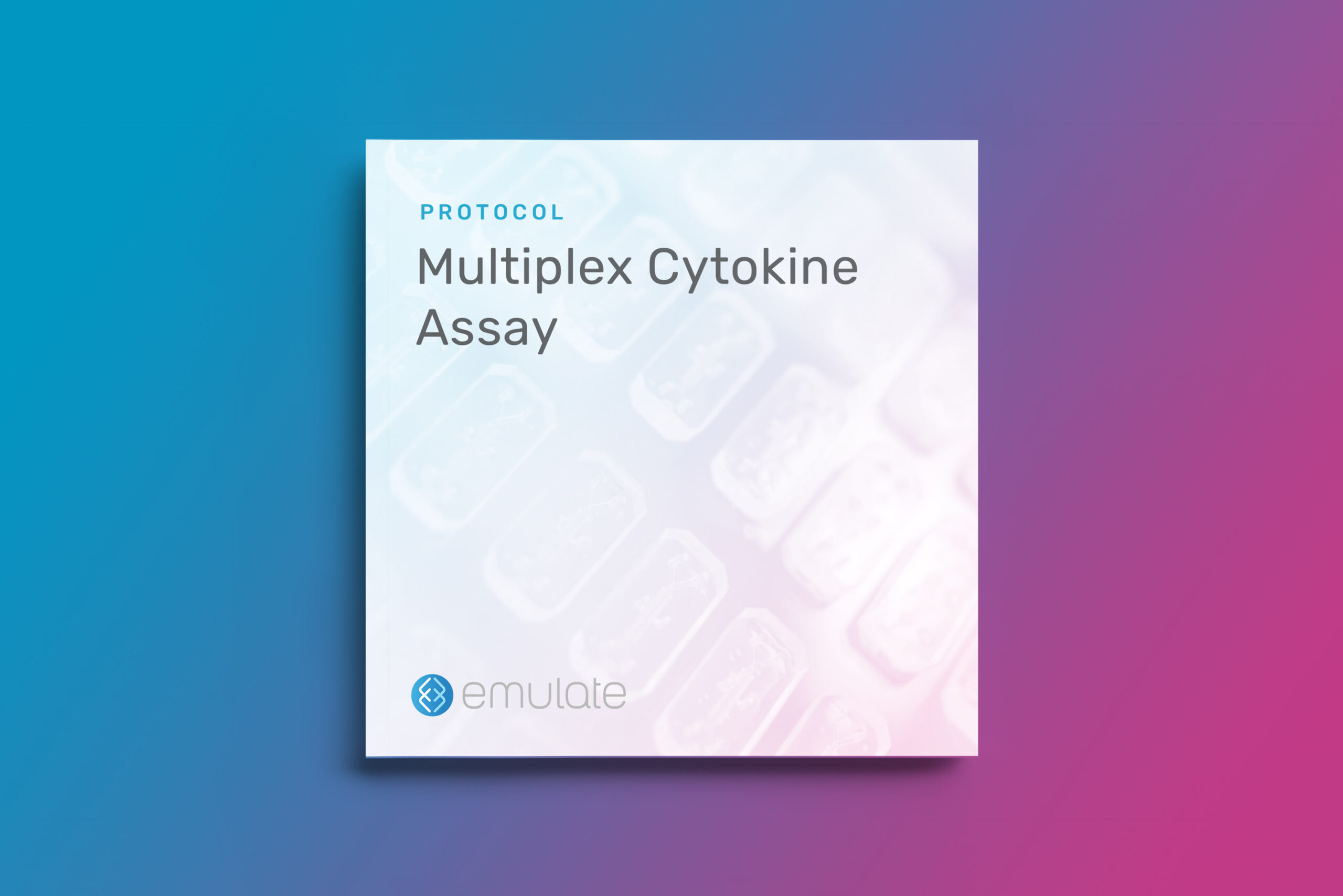 Multiplex Cytokine Assay