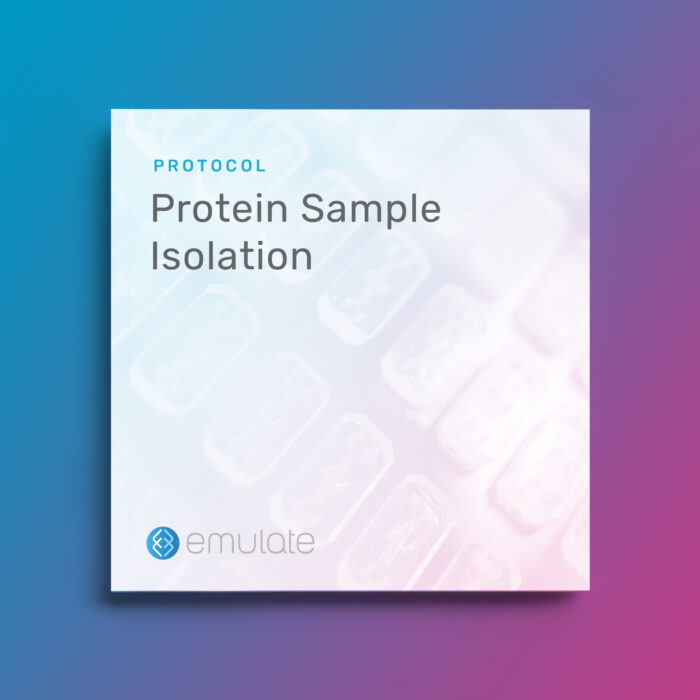 Image for Protein Sample Isolation