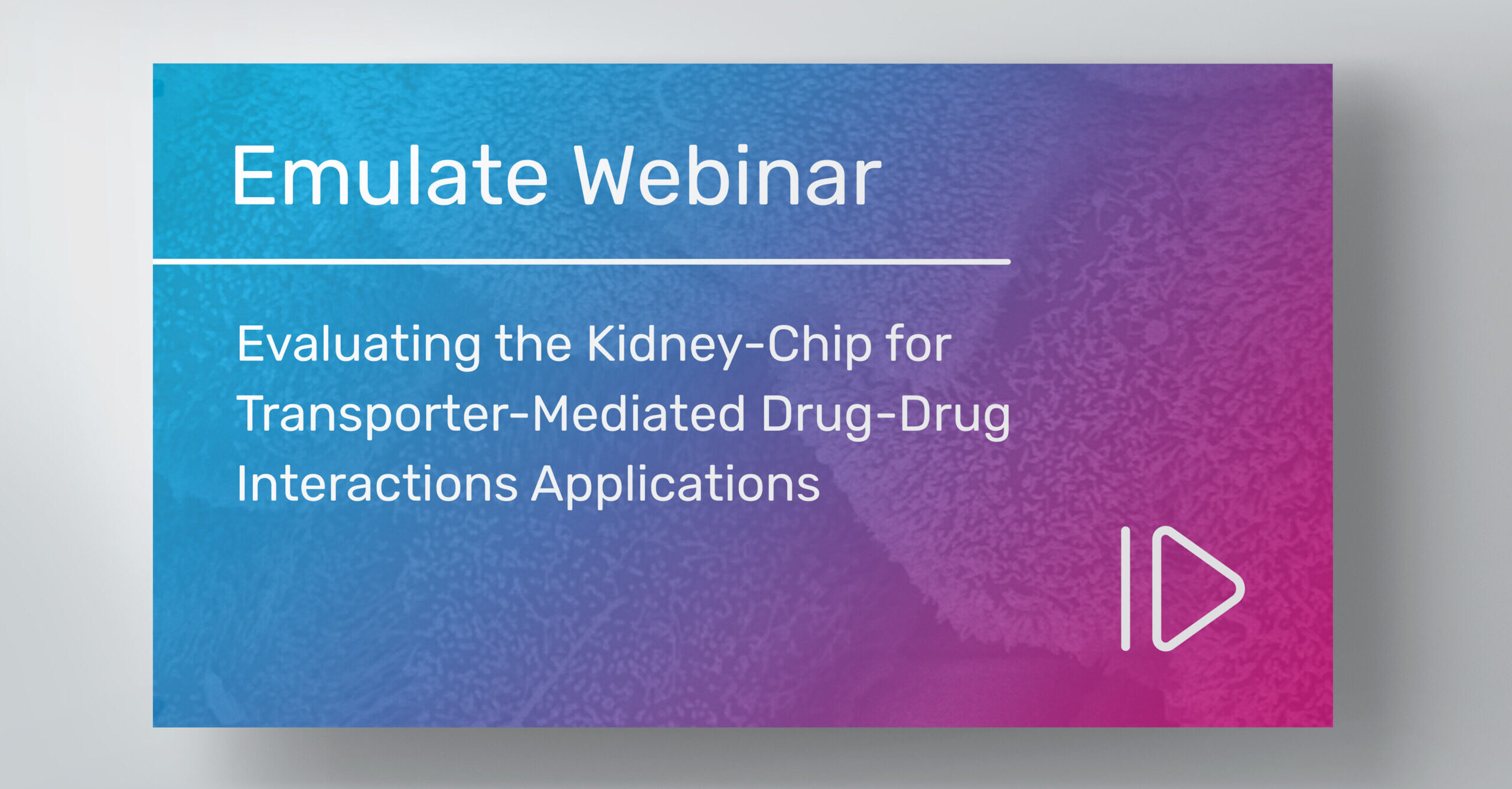 Evaluating the Kidney-Chip for Transporter-Mediated Drug-Drug Interactions Applications