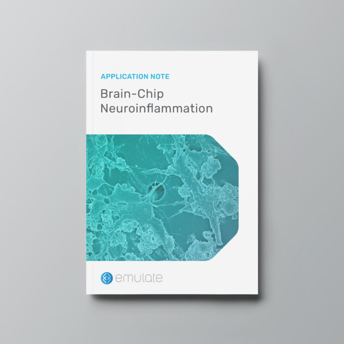 Image for Brain-Chip Neuroinflammation