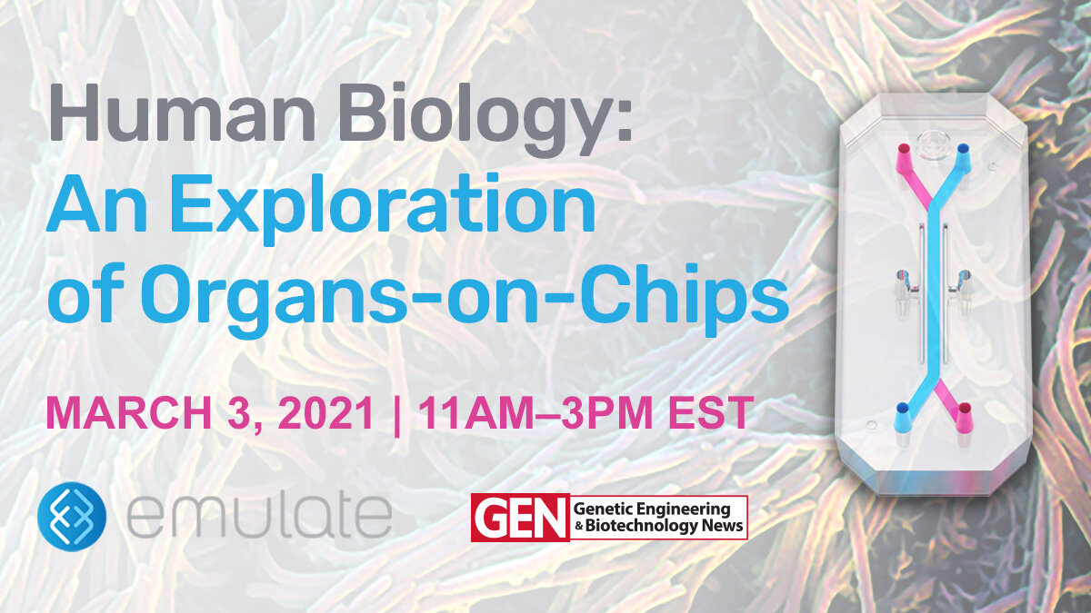 Human Biology: An Exploration of Organs-on-Chips