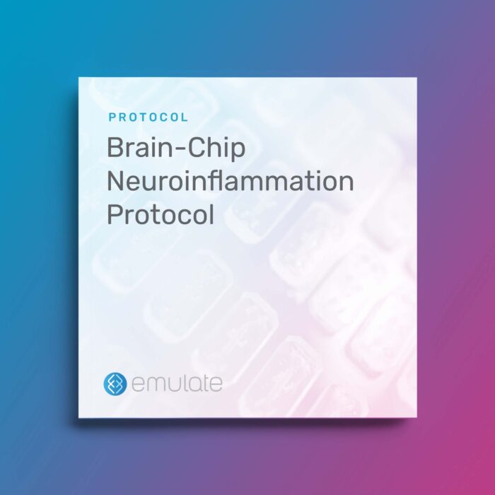 Image for Brain-Chip Neuroinflammation Protocol