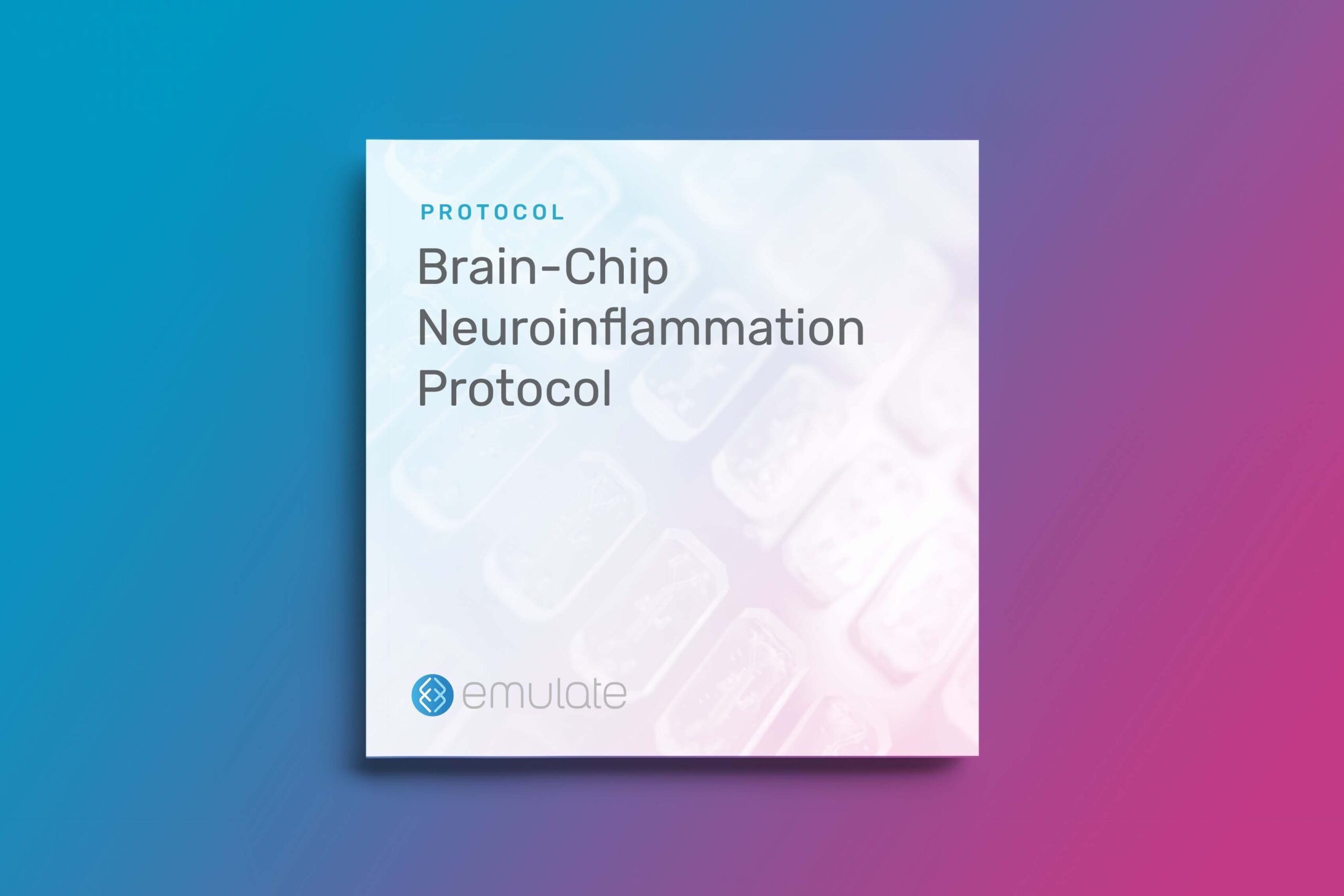 Brain-Chip Neuroinflammation Protocol