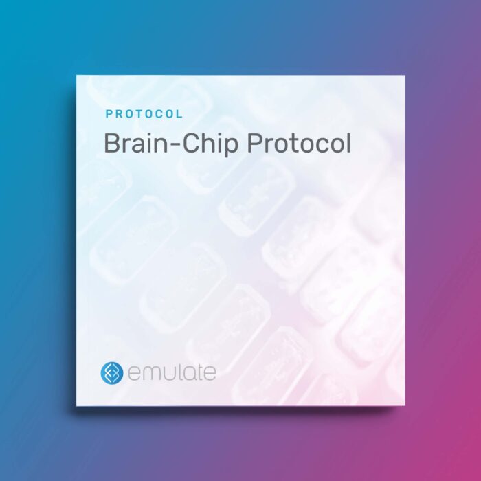 Image for Brain-Chip Culture Protocol