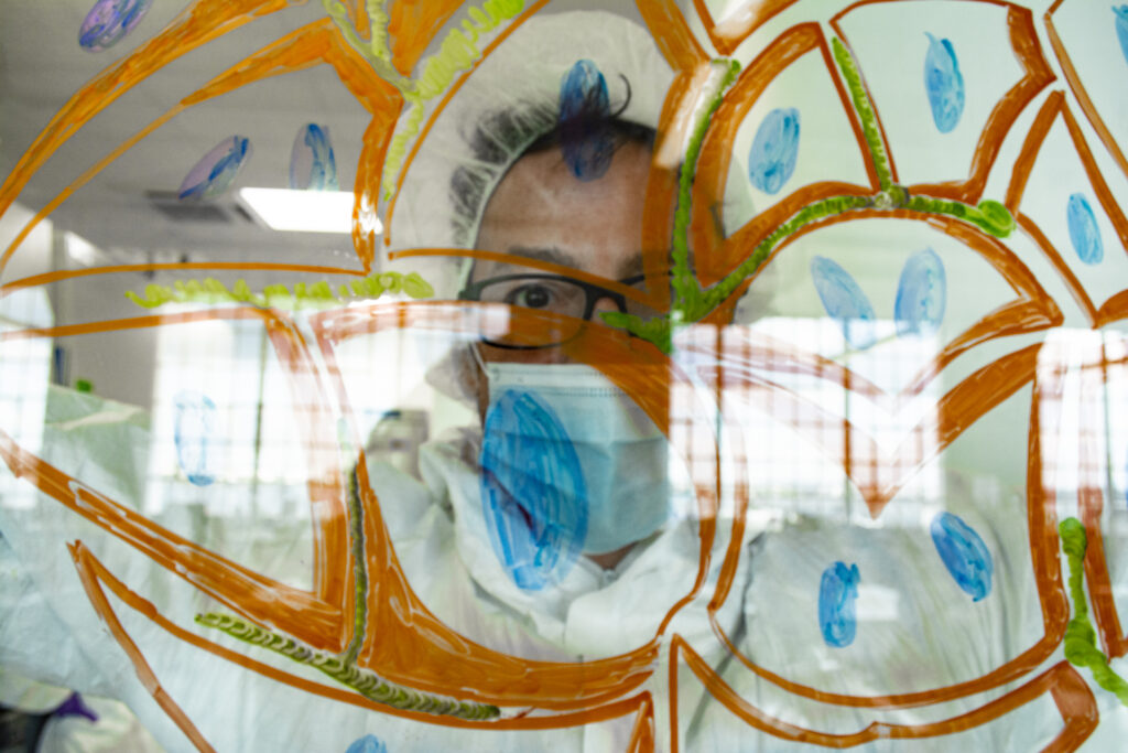 A scientist looking through the lab's glass, which is painted with a morphological design