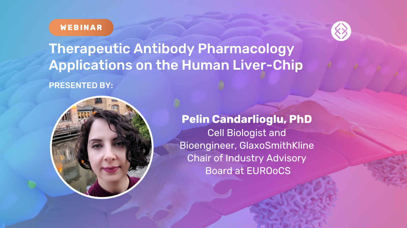 Therapeutic Antibody Pharmacology Applications on the Human Liver-Chip