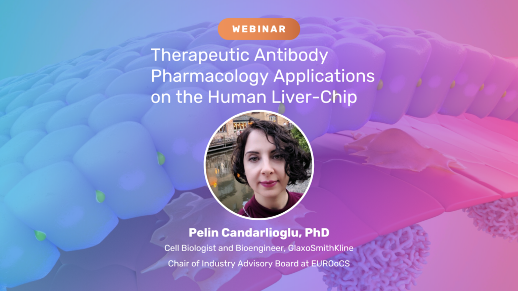 Thumbnail for Webinar entitled Therapeutic Antibody Pharmacology Applications on the Human Liver-Chip