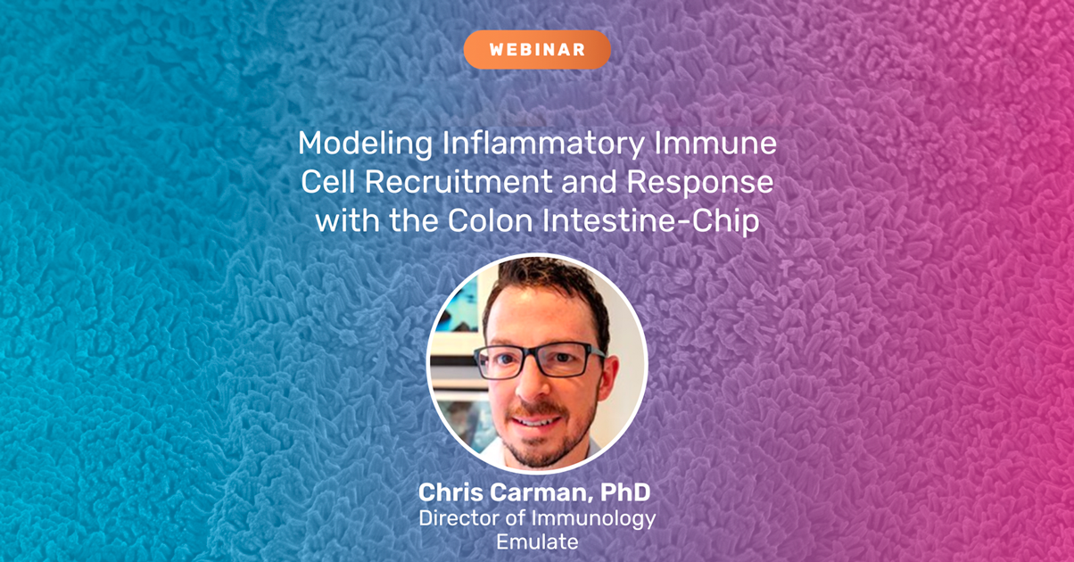 Modeling Inflammatory Immune Cell Recruitment and Response with the Colon Intestine-Chip