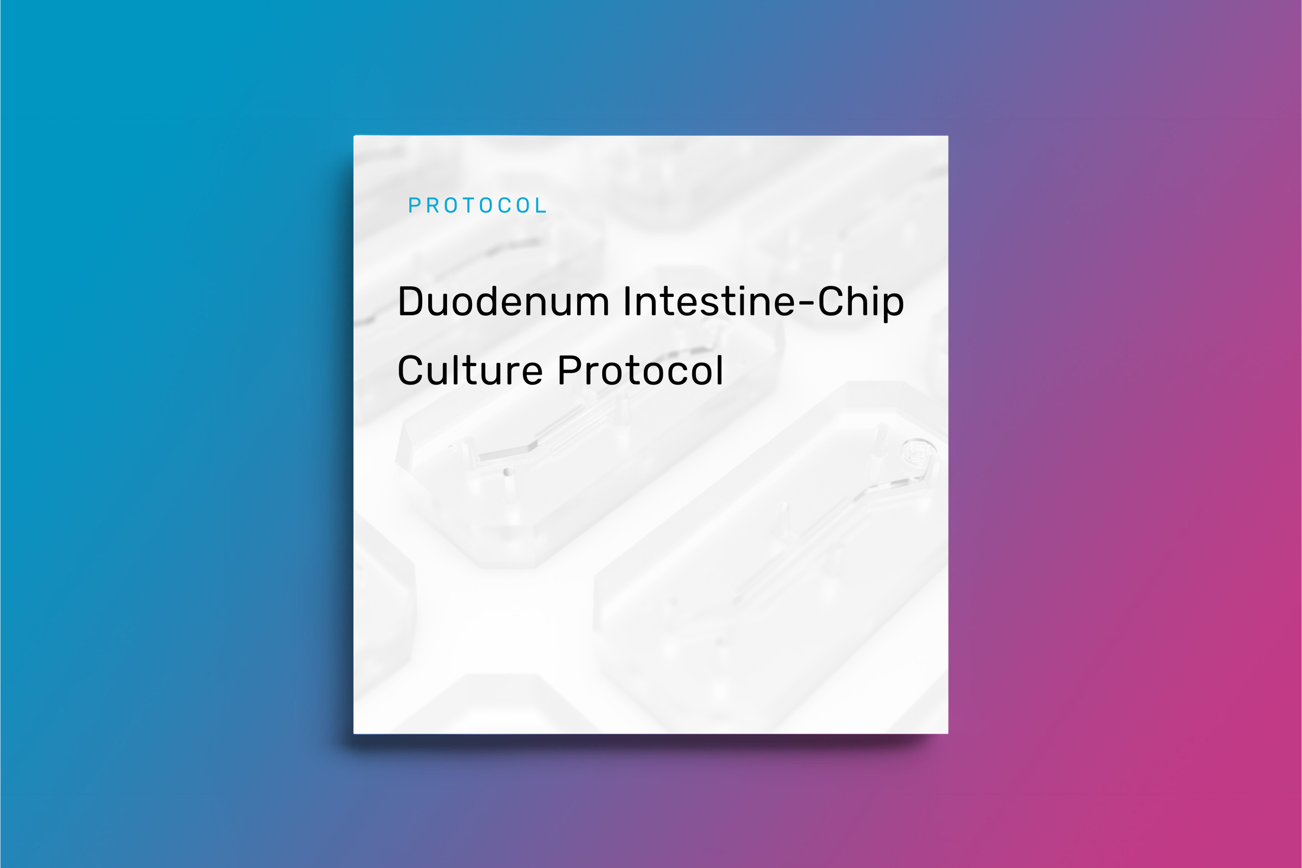 Duodenum Intestine Chip Culture Protocol Emulate