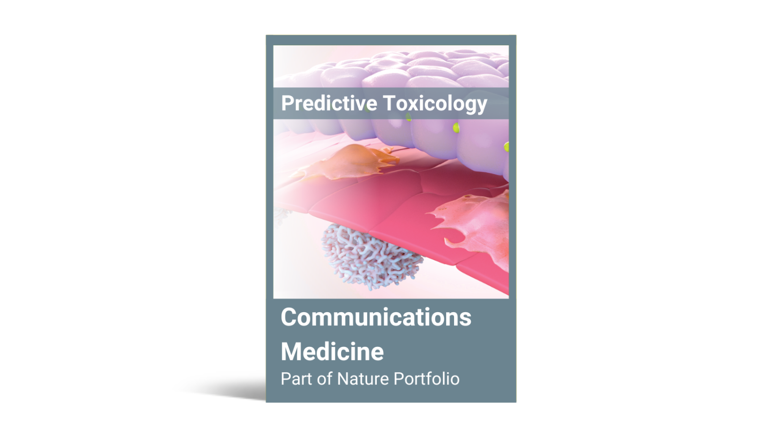 Performance assessment and economic analysis of a human Liver-Chip for predictive toxicology
