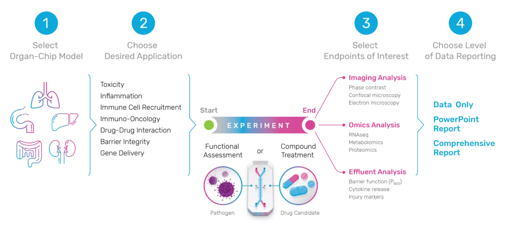 Diagram demonstrating the steps involved in designing and executing an Organ-Chip study through Emulate's Contract Research Services team.