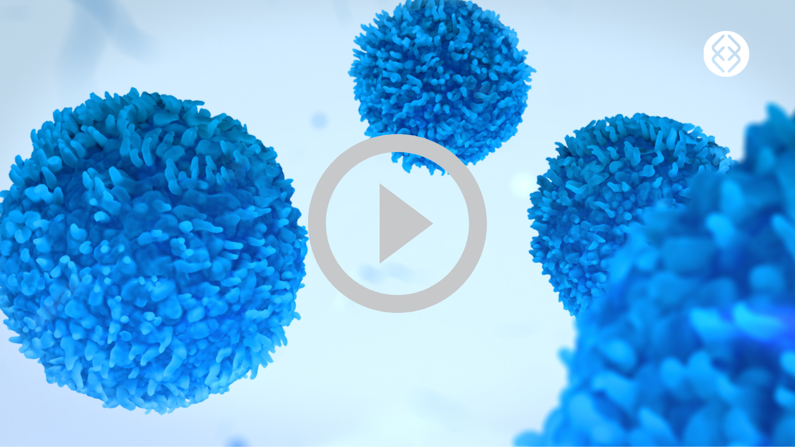 An Unparalleled Window into IBD Immune Response with Organ-on-a-Chip Technology