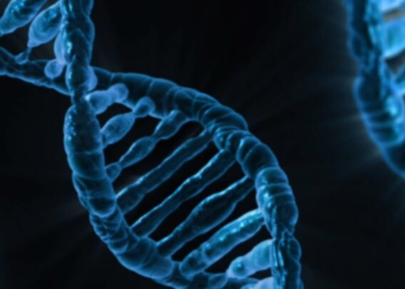 Image for An Introduction to Gene Therapy and Its Applications for Drug Development